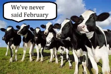 herd.webp